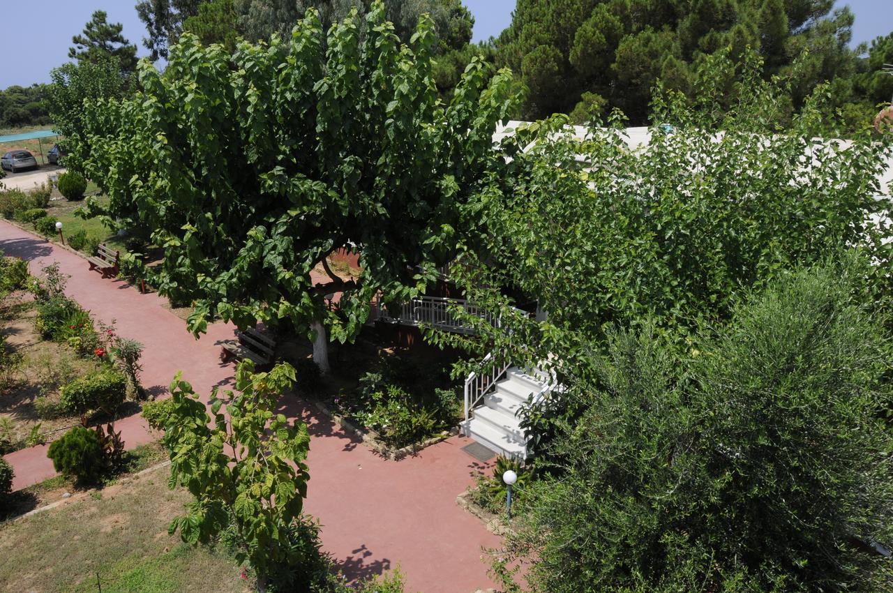 Apartments Hotel Alexandros Arkoudi Exterior photo